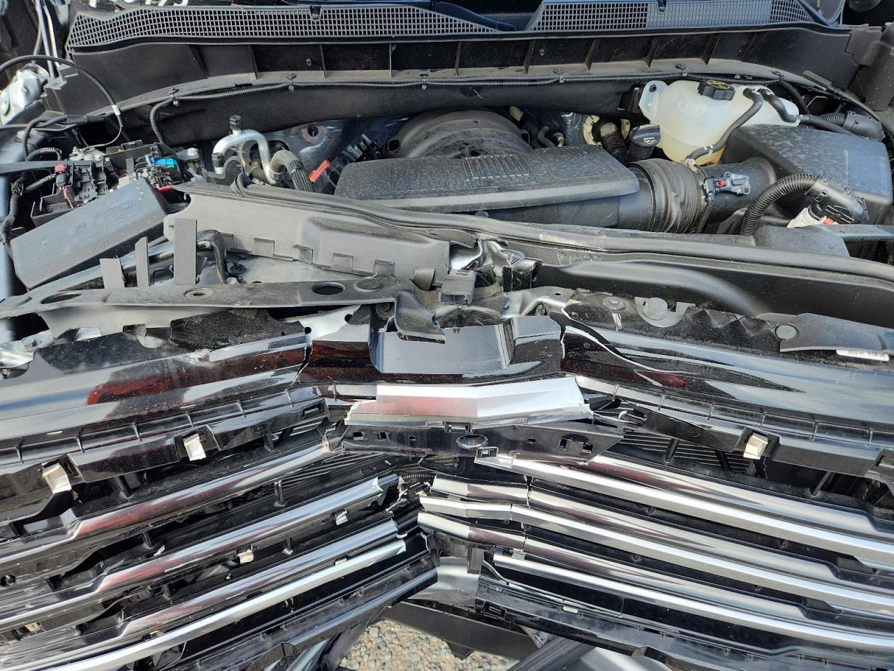 Lot #3302798979 2024 CHEVROLET SILVERADO C1500 HIGH COUNTRY