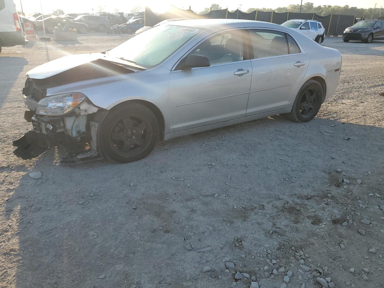 Lot #3261803203 2010 CHEVROLET MALIBU