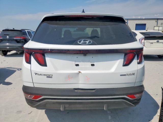 2024 HYUNDAI TUCSON BLU KM8JBCD15RU227883