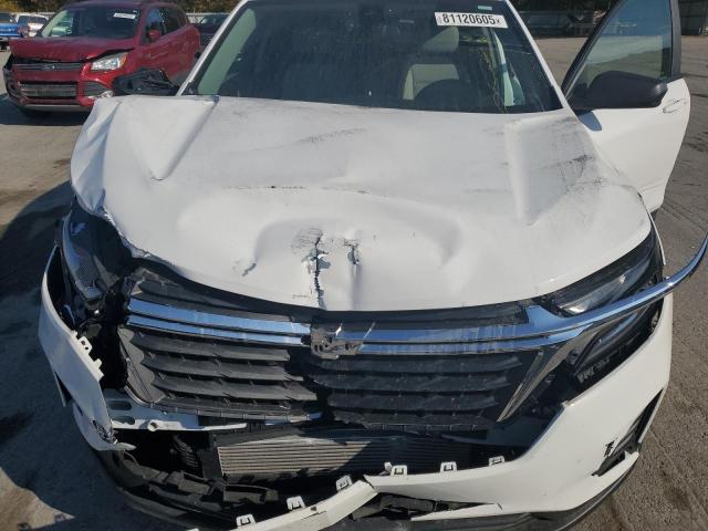 2024 CHEVROLET EQUINOX LS - 3GNAXHEG6RL307121