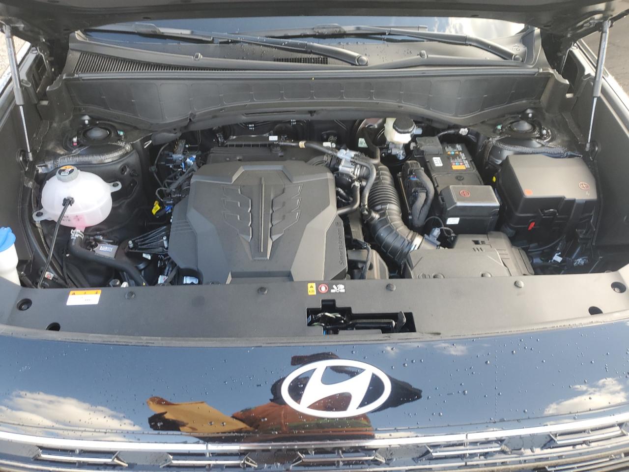 HYUNDAI PALISADE CALLIGRAPHY