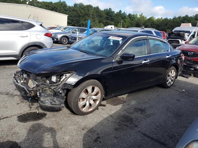 Global Auto Auctions: 2010 HONDA ACCORD EXL