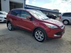 Lot #3310600322 2015 FORD ESCAPE TIT