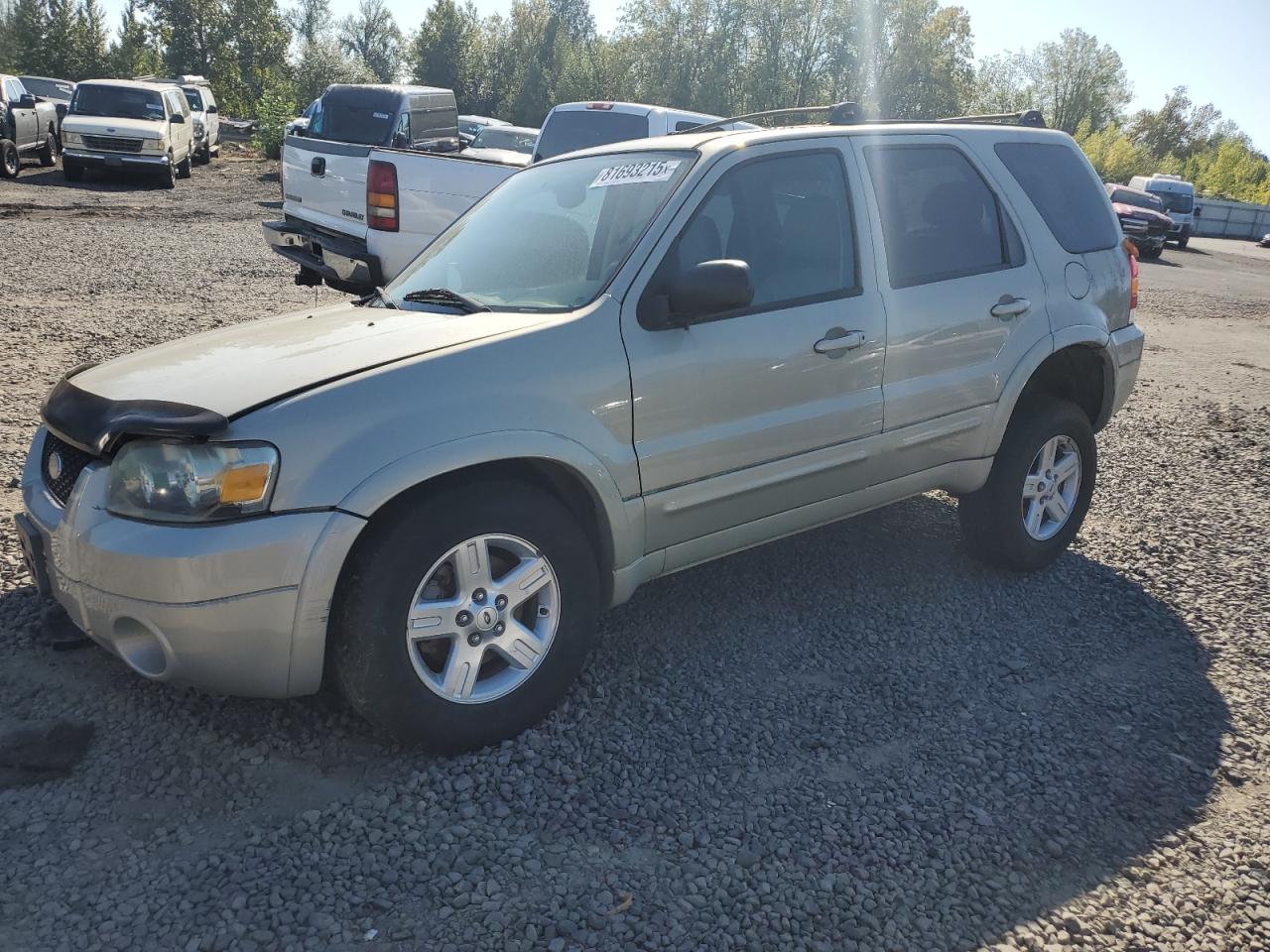 Lot #3253940609 2005 FORD ESCAPE LIM