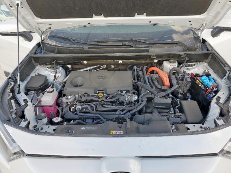 2024 TOYOTA RAV4 XLE P - JTMB6RFV6RD557077