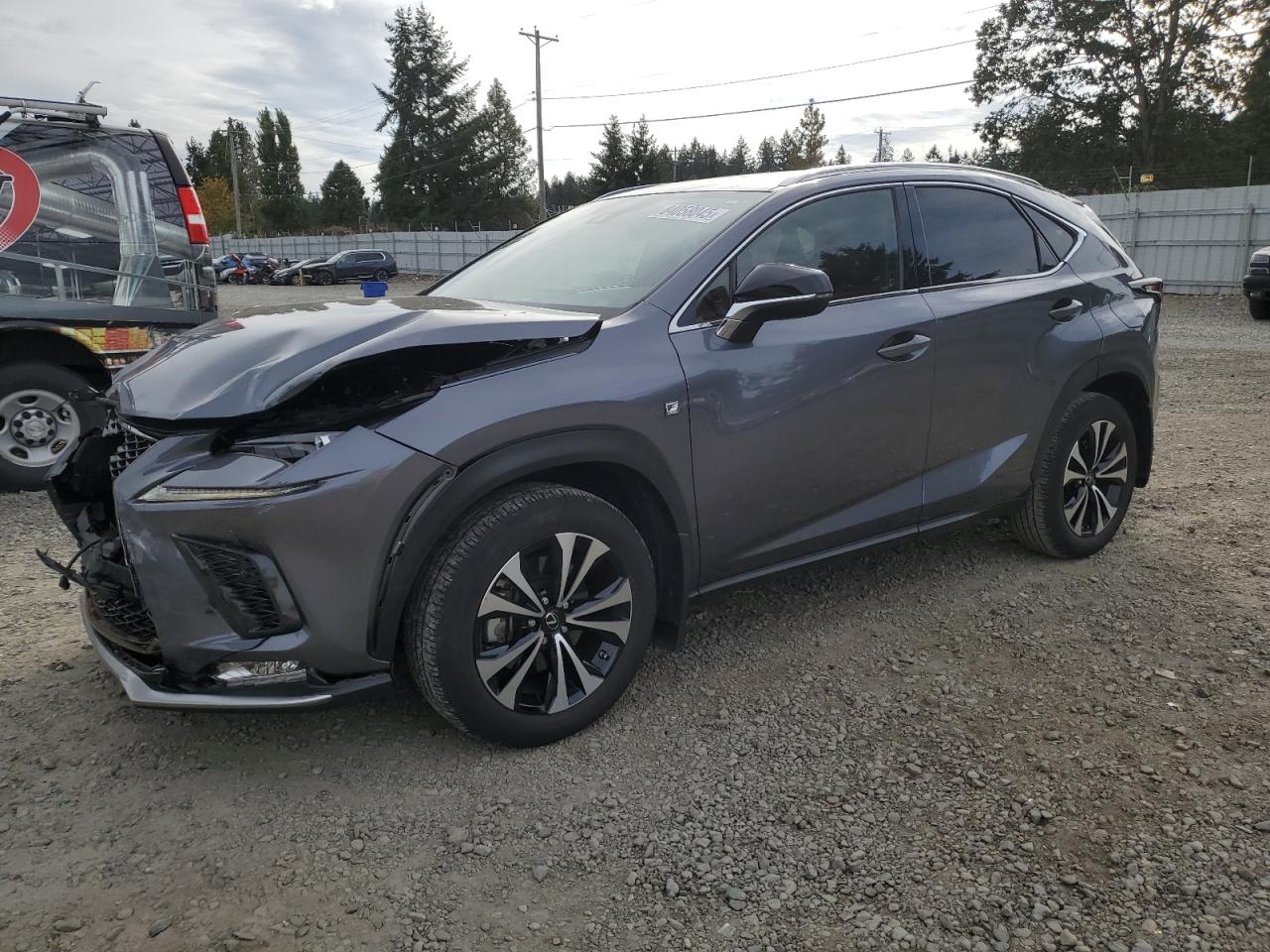 LEXUS NX 300 F SPORT