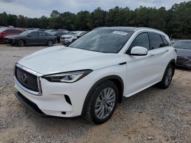 Global Auto Auctions: 2023 INFINITI QX50 LUXE