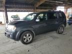 Lot #3304148489 2011 HONDA PILOT EXL