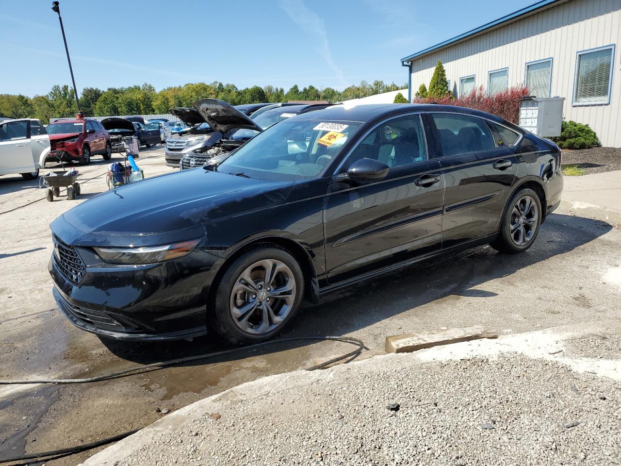 HONDA ACCORD EX