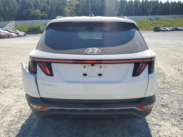 2023 HYUNDAI TUCSON SEL 5NMJF3AE7PH187083