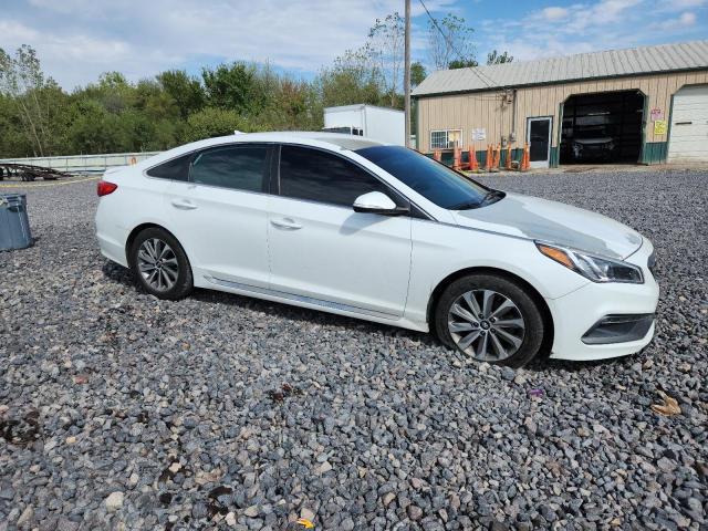 2017 HYUNDAI SONATA SPO 5NPE34AF9HH495899
