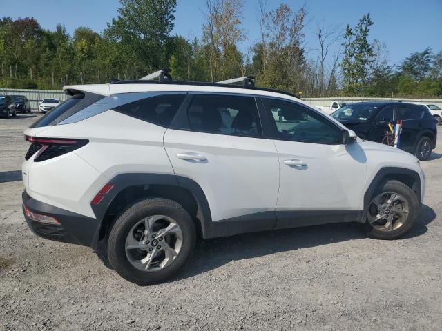 2023 HYUNDAI TUCSON SEL 5NMJBCAE2PH191991