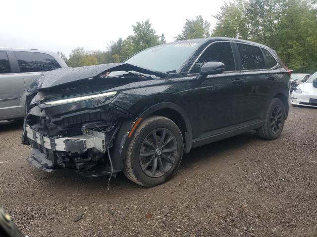 Global Auto Auctions: 2024 HONDA CR-V EXL