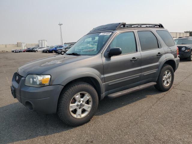 Global Auto Auctions: 2005 FORD ESCAPE XLT