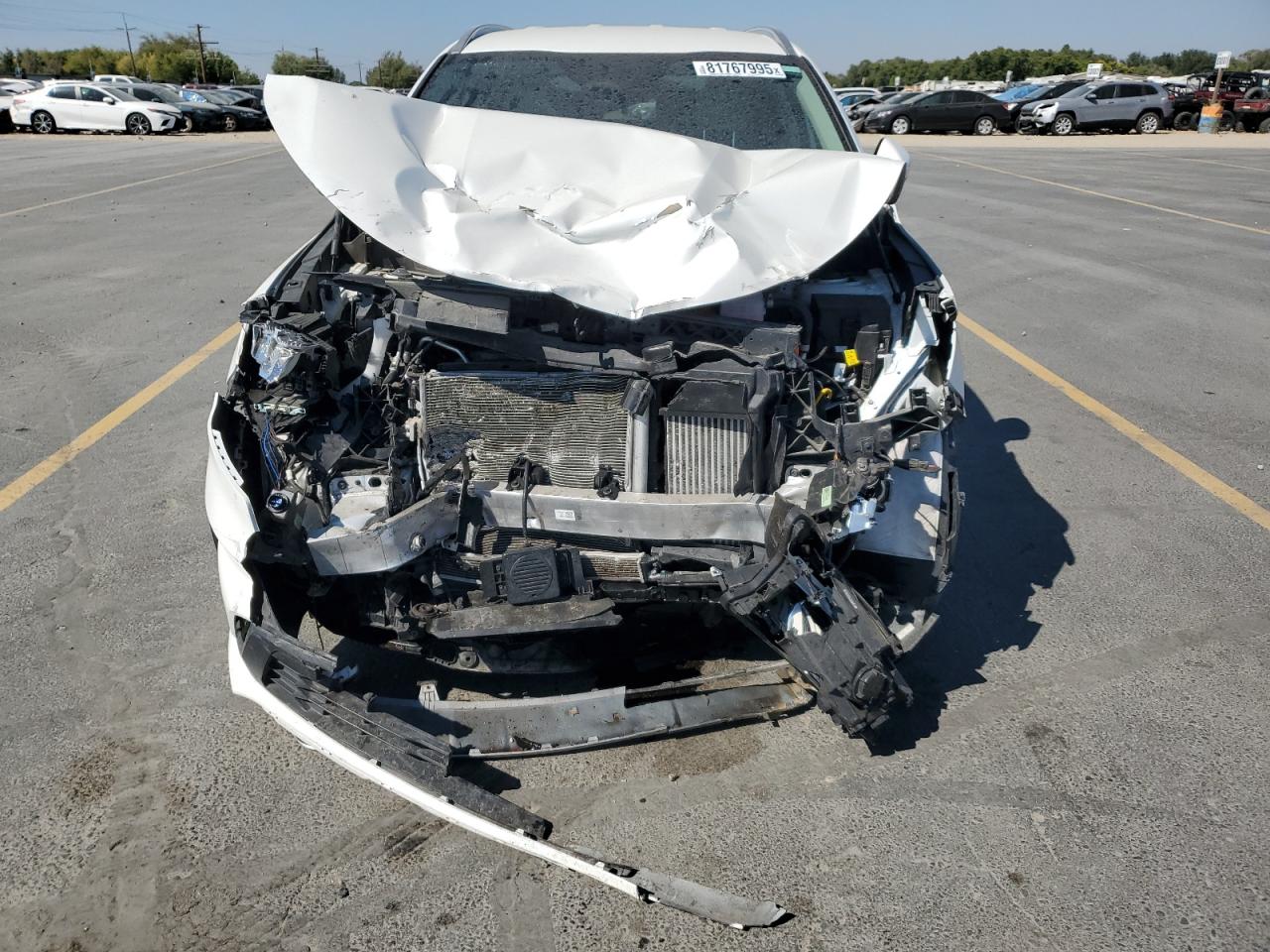 Global Auto Auctions