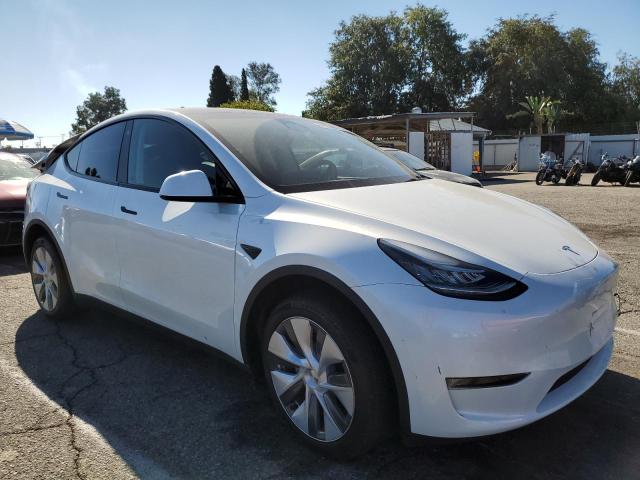 2023 TESLA MODEL Y 7SAYGDEE8PA111899