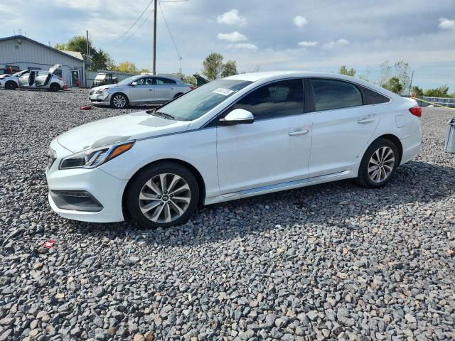 HYUNDAI SONATA SPO