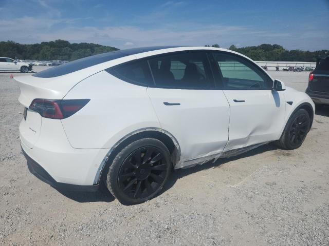 2021 TESLA MODEL Y - 5YJYGDEE2MF175206