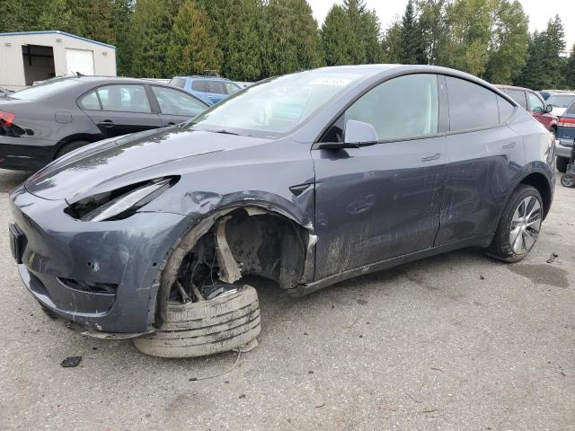 Global Auto Auctions: 2022 TESLA MODEL Y