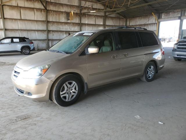 HONDA ODYSSEY EX 2006 gold sports v gas 5FNRL38776B434248 photo #1