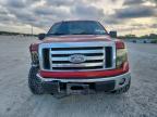 Lot #3303911685 2009 FORD F150 SUPER