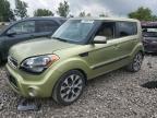 Top Destinations for Shipping Cars from the USA