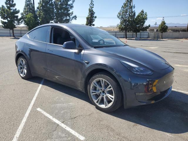 2024 TESLA MODEL Y #3298241025