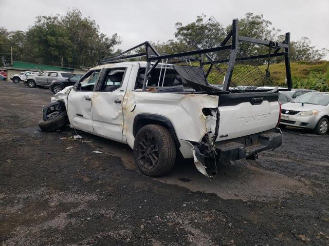 2025 TOYOTA TUNDRA CRE 5TFLA5DB7SX272168