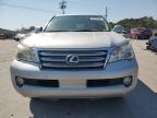 Lot #3296920823 2010 LEXUS GX 460