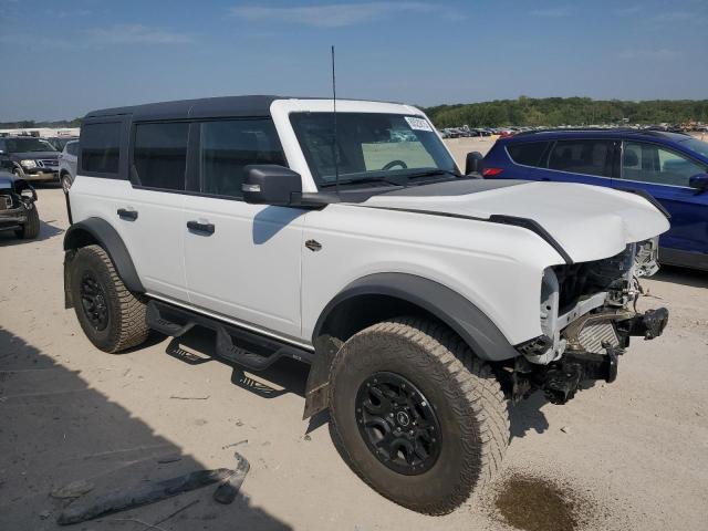 2024 FORD BRONCO WIL 1FMEE2BP6RLA29801