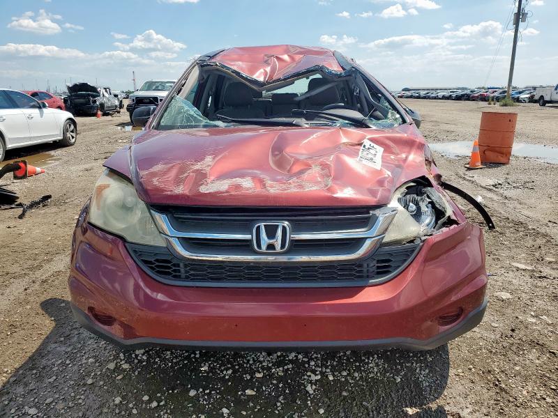 2010 HONDA CR-V LX - 5J6RE3H33AL025171