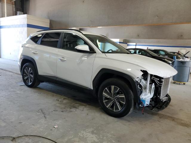 2024 HYUNDAI TUCSON BLU KM8JBCD1XRU154834