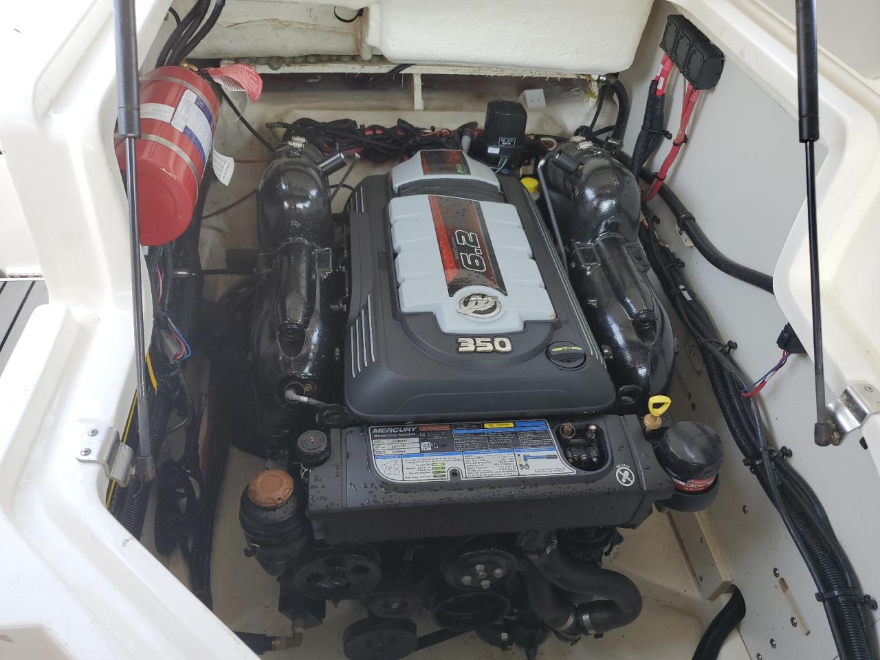 Lot #3291164976 2024 SEA RAY PLEASURE