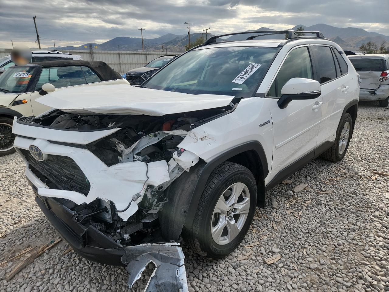 TOYOTA RAV4 XLE