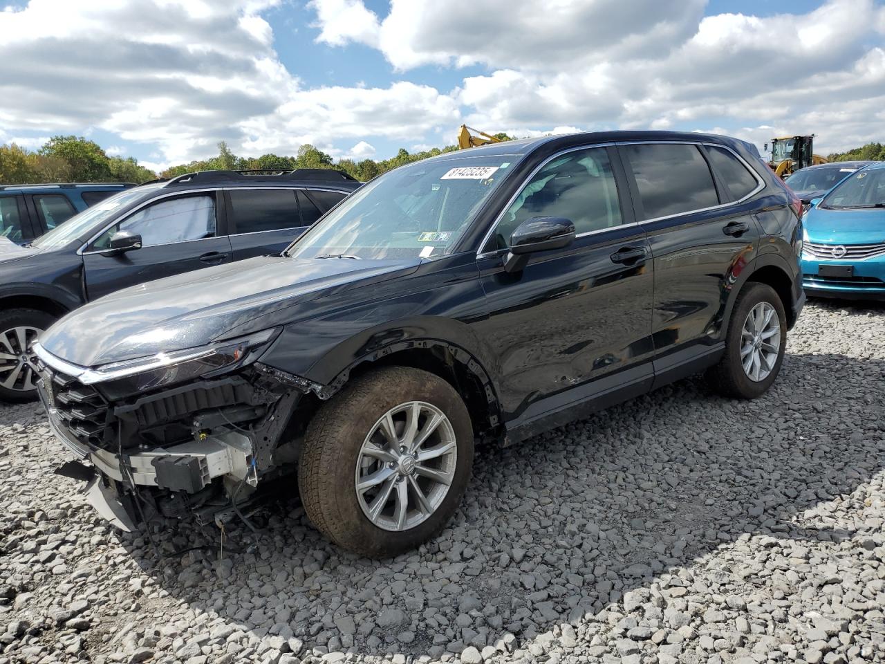 Lot #3302722014 2024 HONDA CR-V EX