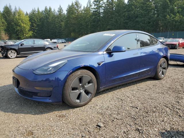 2021 TESLA MODEL 3 - 5YJ3E1EA5MF013596