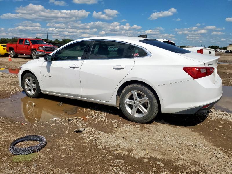 2019 CHEVROLET MALIBU LS - 1G1ZB5ST9KF210983