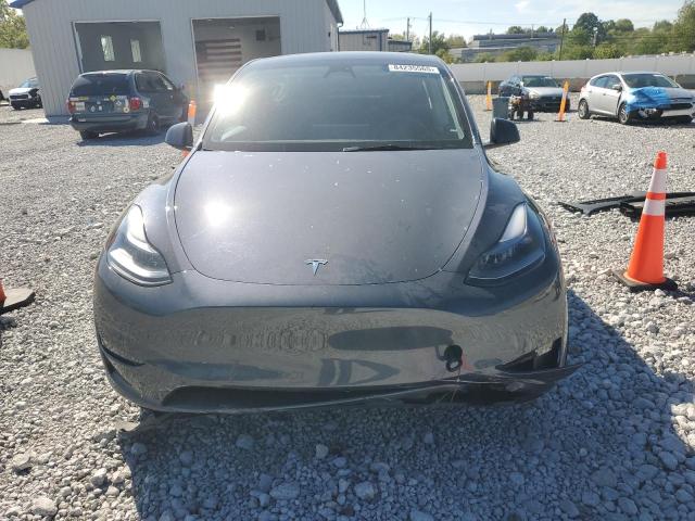 2023 TESLA MODEL Y - 7SAYGDEE5PF758179