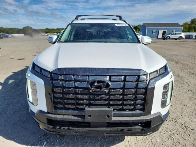 2024 HYUNDAI PALISADE X - KM8R3DGE6RU647530