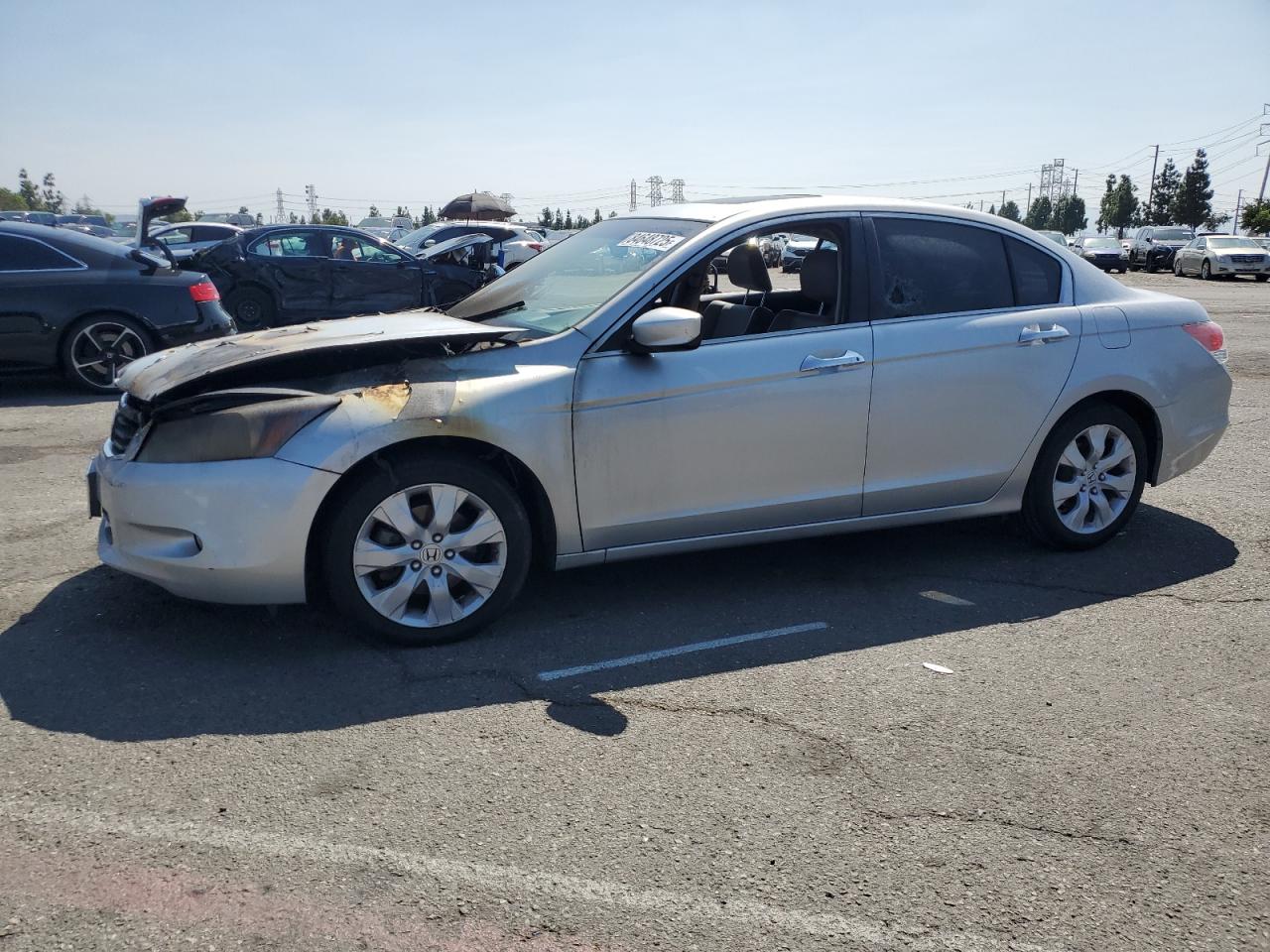 HONDA ACCORD EXL