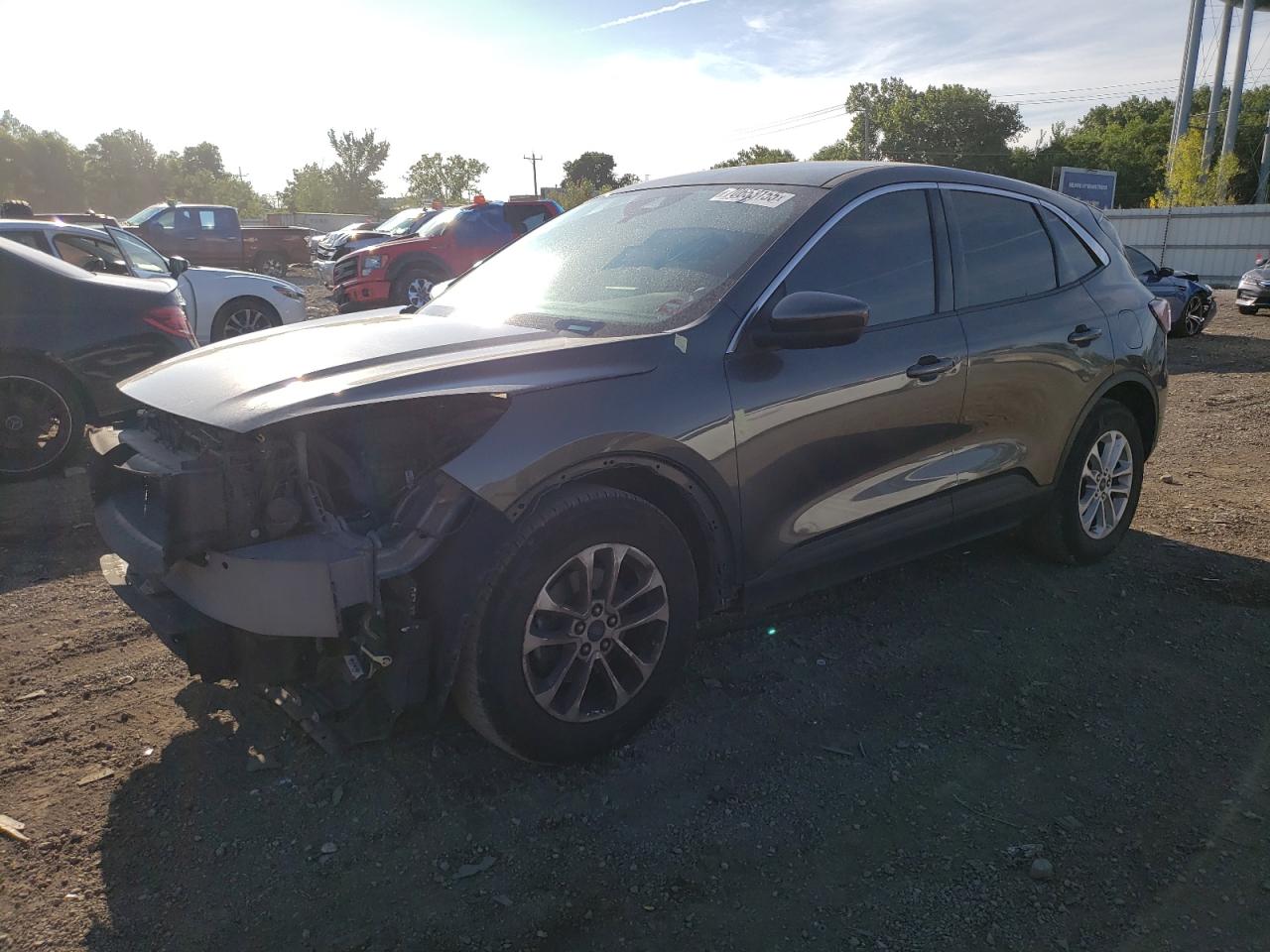 Lot #3297258379 2020 FORD ESCAPE SE