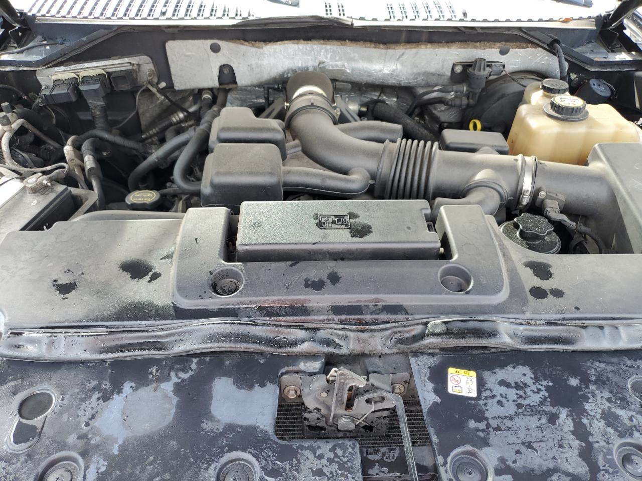 Lot #3308222173 2008 FORD EXPEDITION