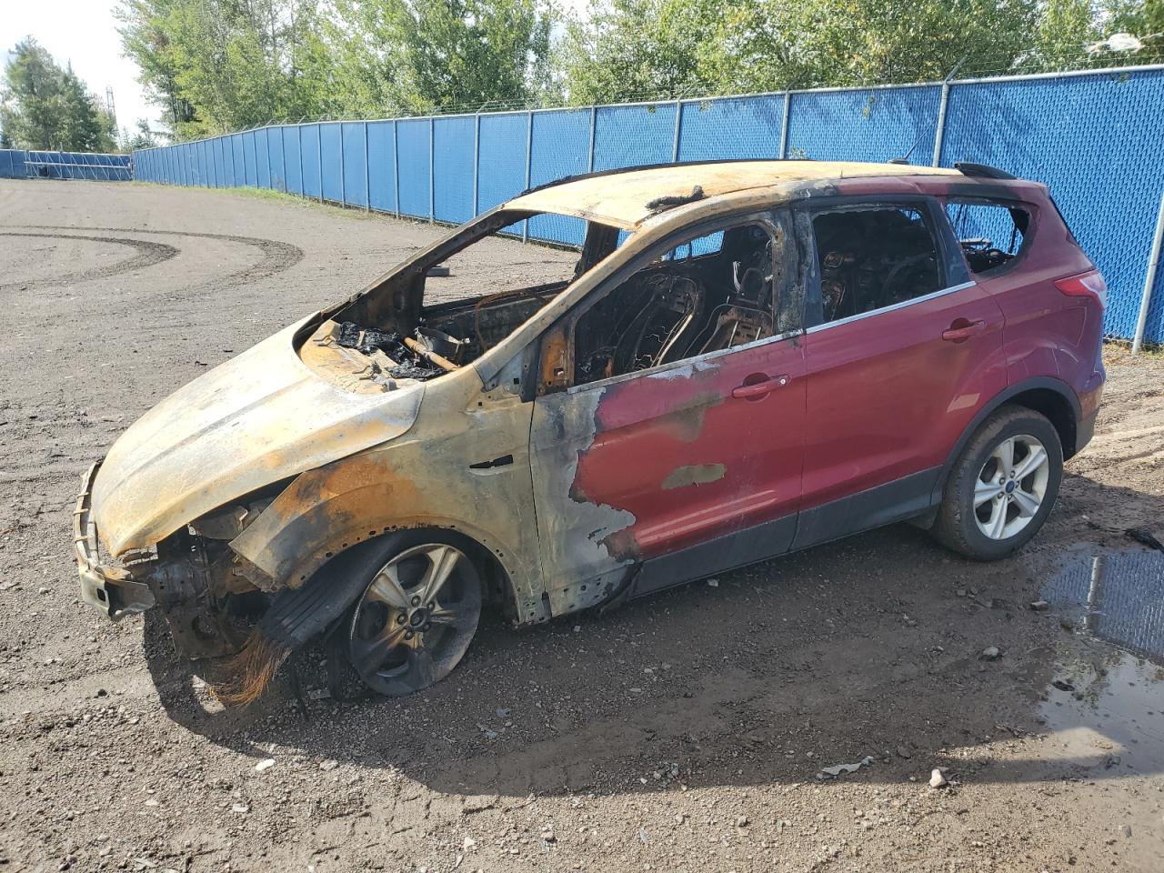 Фото авто