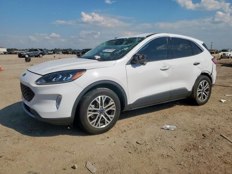 Global Auto Auctions: 2022 FORD ESCAPE SEL