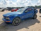 Lot #3294396493 2008 FORD MUSTANG