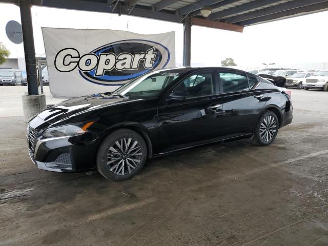 NISSAN ALTIMA SV