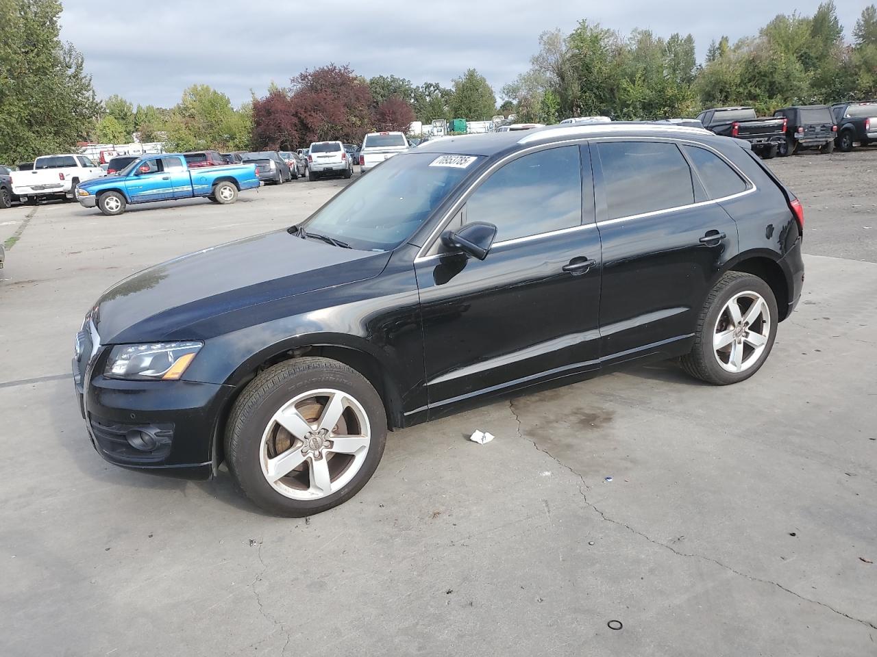 Lot #3278946031 2012 AUDI Q5