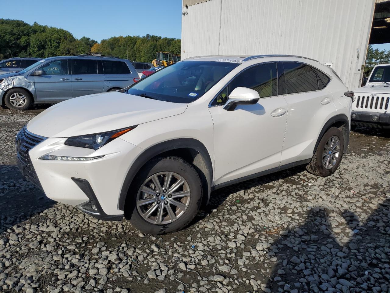 LEXUS NX 300 BASE