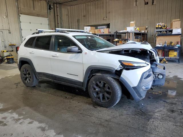2014 JEEP CHEROKEE TRAILHAWK - 1C4PJMBS4EW129851