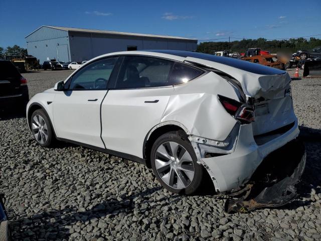 2023 TESLA MODEL Y 7SAYGDEEXPF758792